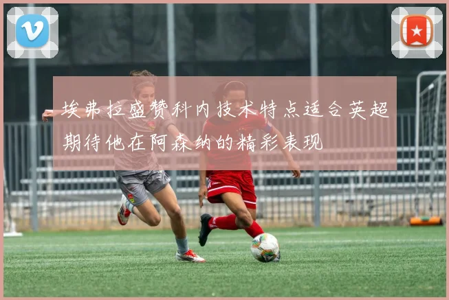埃弗拉盛赞科内技术特点适合英超期待他在阿森纳的精彩表现